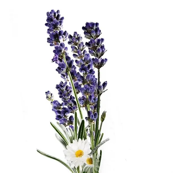 Krem do rąk Aromaterapia z lawendą i rumiankiem Planet Spa 30 ml AVON – zdjęcie 2