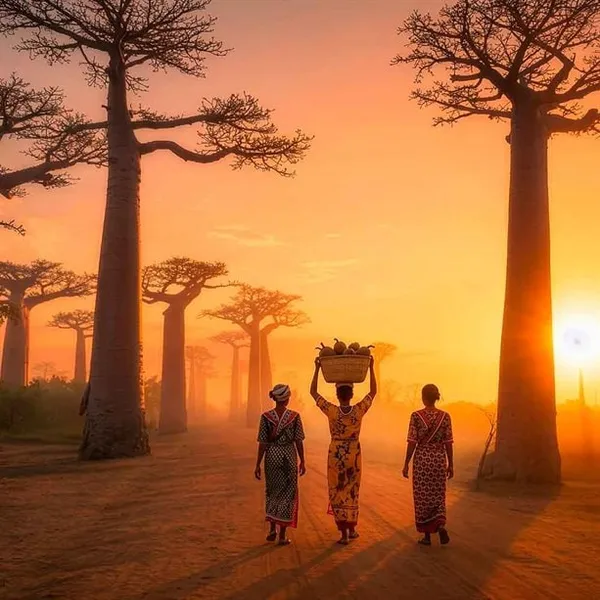 Zestaw Her Wisdom Baobab AVON – zdjęcie 4